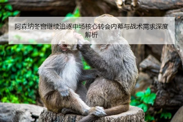 阿森纳冬窗继续追逐中场核心转会内幕与战术需求深度解析
